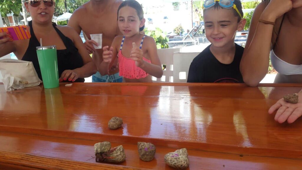 Crab Racing at Valentines!