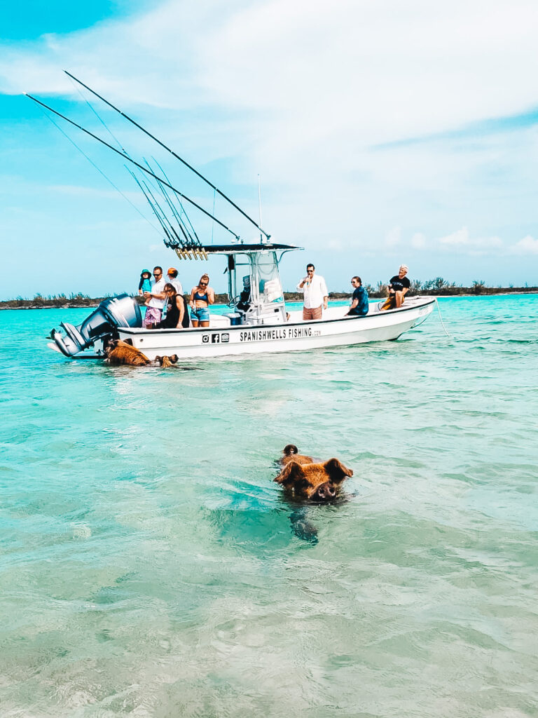 The Best Harbour Island Excursions