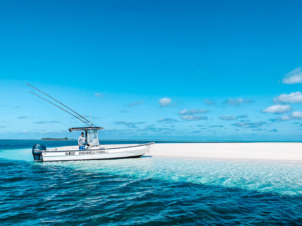 The Best Harbour Island Excursions