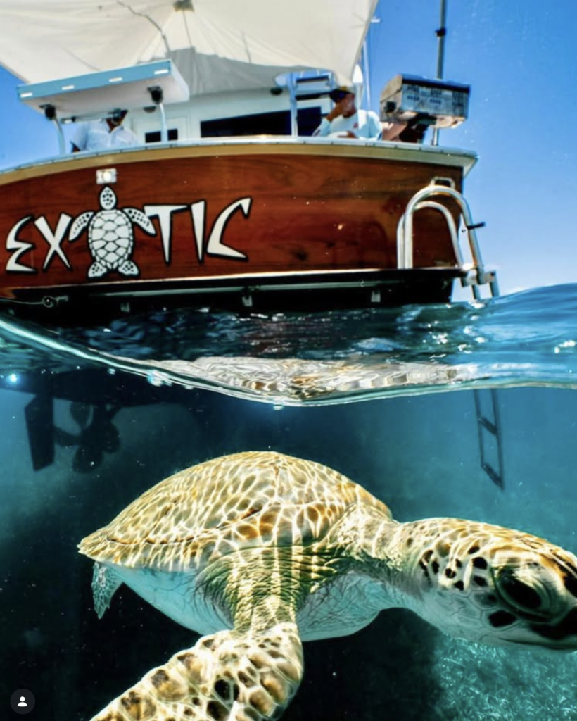Exotic Excursions 242 The Best Choice For Your Eleuthera, Harbour Island And Spanish Wells Adventures